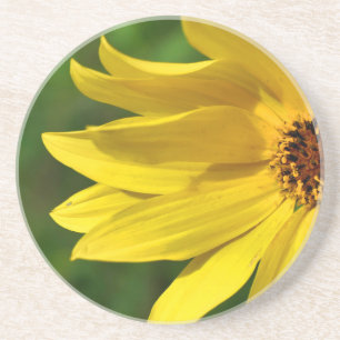 Yellow Daisy Helenium Coaster
