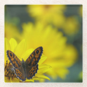 Yellow Daisy Helenium Glass Coaster