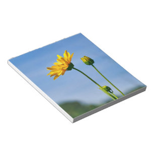 Yellow Daisy Helenium Notepad