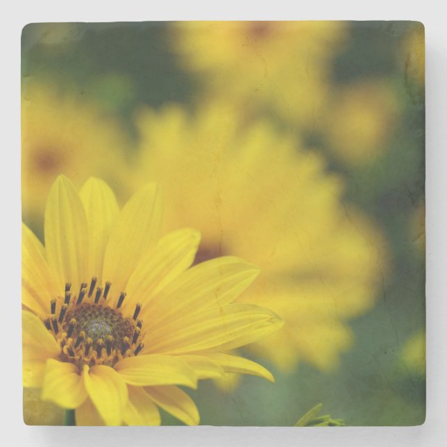 Yellow Daisy Helenium Stone Coaster (Front)