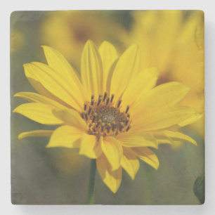 Yellow Daisy Helenium Stone Coaster