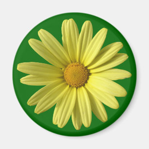 Yellow Daisy Magnet