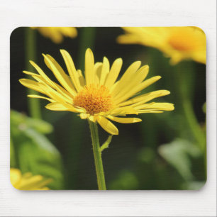 Yellow Daisy Mouse Pad