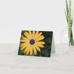 Yellow Daisy Note Card