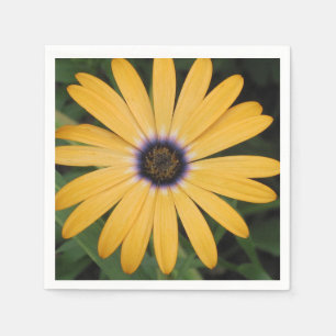 Yellow Daisy Paper Napkin