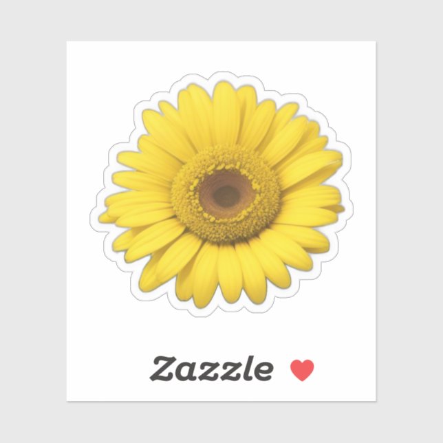 Yellow Daisy Petals  (Sheet)
