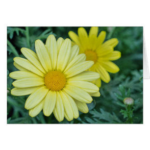 Yellow Daisy PhotoArt Customisable