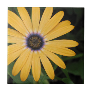 Yellow Daisy Tile