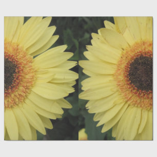 Yellow Daisy Wrapping Paper