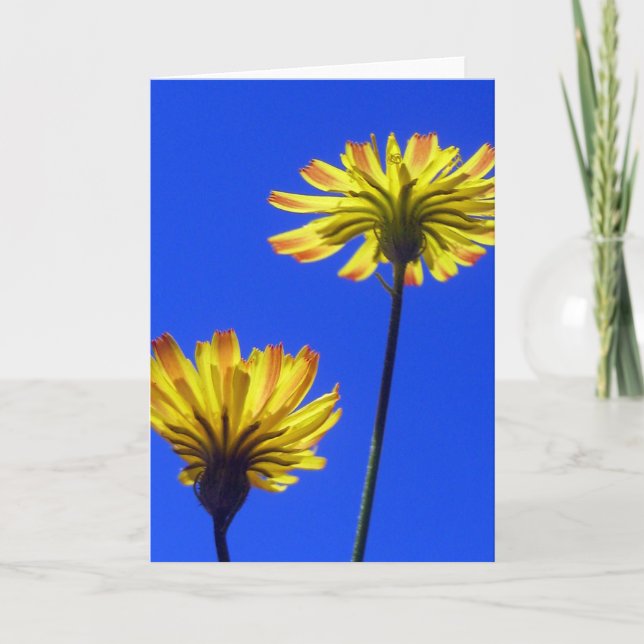 Yellow Dandelion, Blue Sky, Happy, Positive Nature Card (Front)