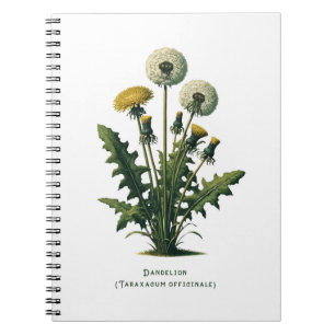 Yellow Dandelion Herbal Journal