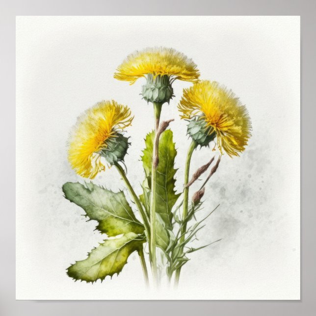 Yellow Dandelions Flower Art Print Poster (Front)