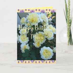 Yellow David Austin Roses Rose Garden Birthday Car Card