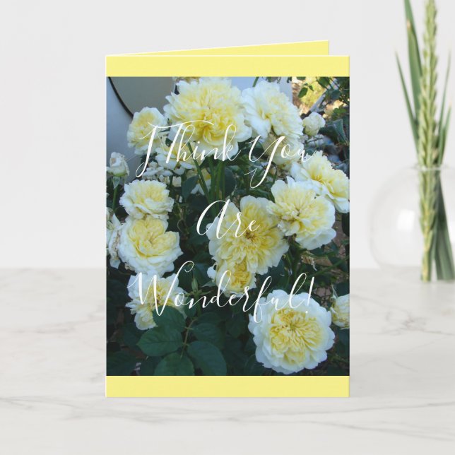 Yellow David Austin Roses Rose Garden flowers Card (Front)