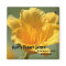 Yellow Daylilie Magnet