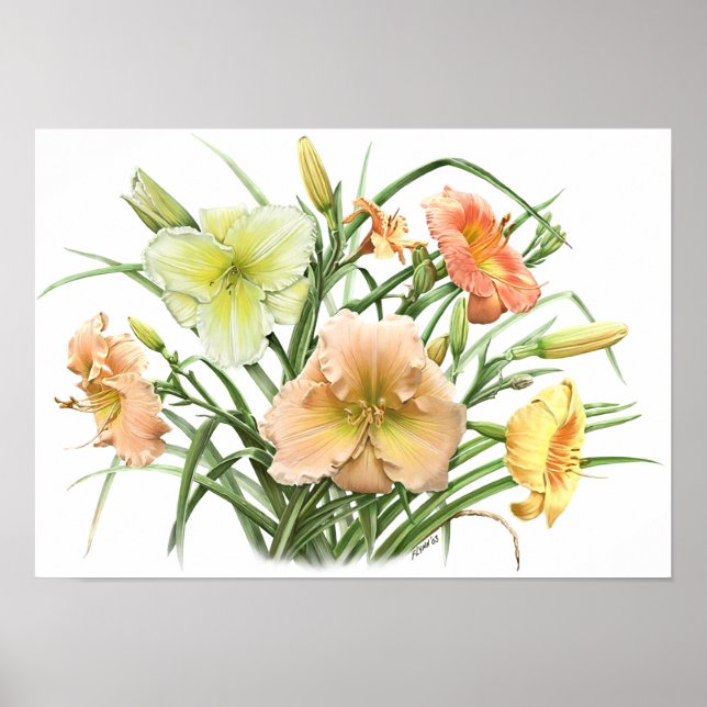 Yellow Daylilies Original Art Print (Front)
