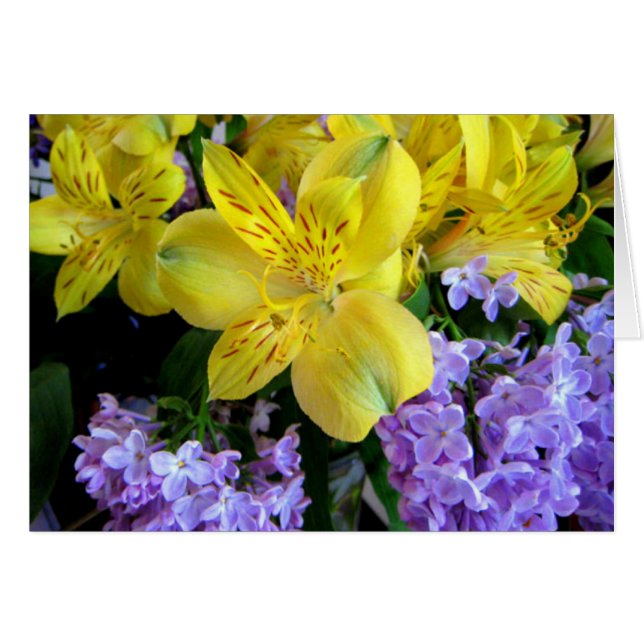Yellow Daylilies & Purple Lilac Flowers (Front Horizontal)