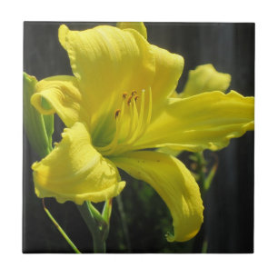 Yellow Daylily Ceramic Tile