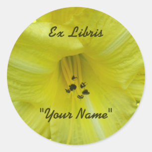 Yellow Daylily Coordinating Items Classic Round Sticker