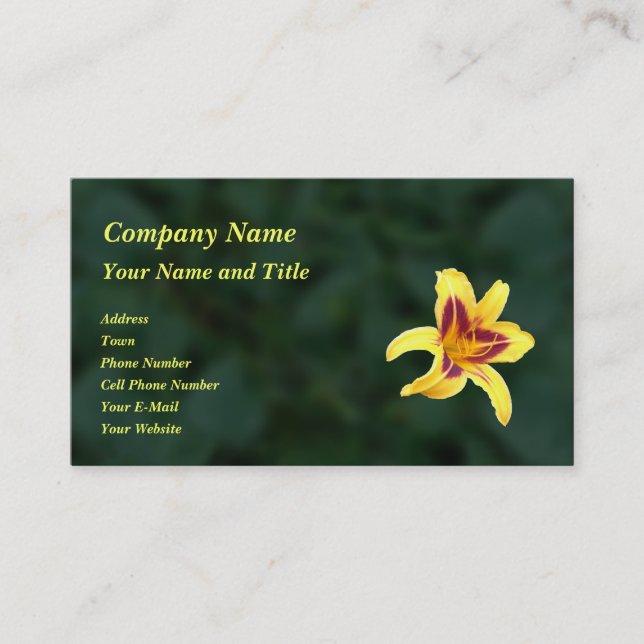 Yellow Daylily Flower with Red, Hemerocallis: Business Card (Front)