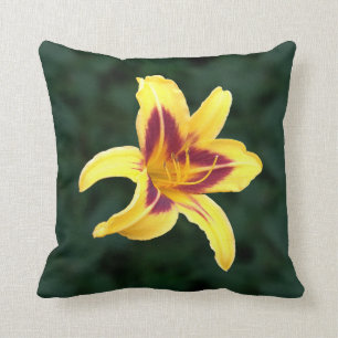 Yellow Daylily Flower with Red, Hemerocallis: Cushion
