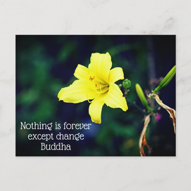 Yellow Daylily Inspirational Quote Postcard (Front)