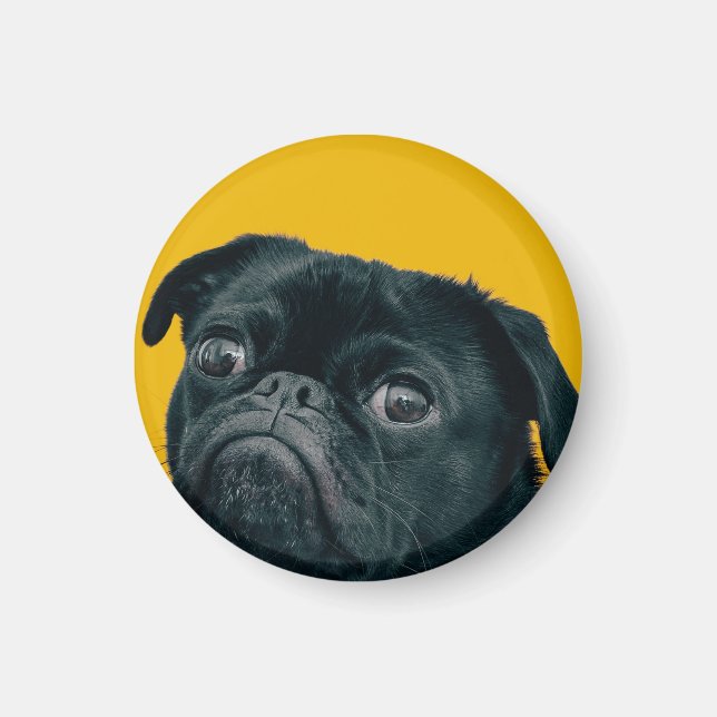yellow dog magnet (Front)