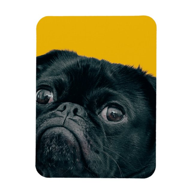 yellow dog magnet (Vertical)