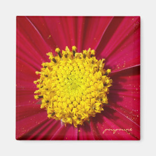 yellow dot magnet