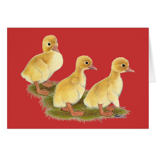 Yellow Ducklings (Front Horizontal)
