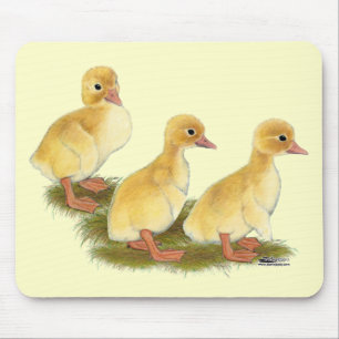 Yellow Ducklings Mouse Pad