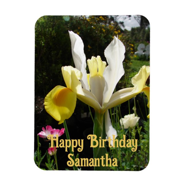Yellow Dutch Iris Flower flowers Floral Birthday Magnet (Vertical)