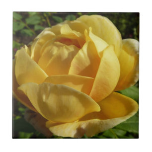 Yellow English Rose Ceramic Tile