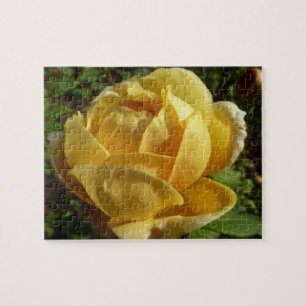 Yellow English Rose Jigsaw Puzzle