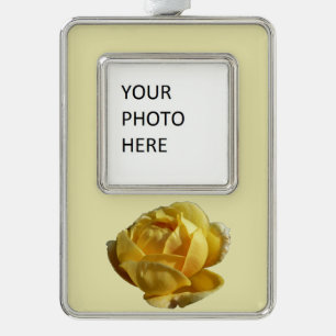 Yellow English Rose Silver Plated Framed Ornament