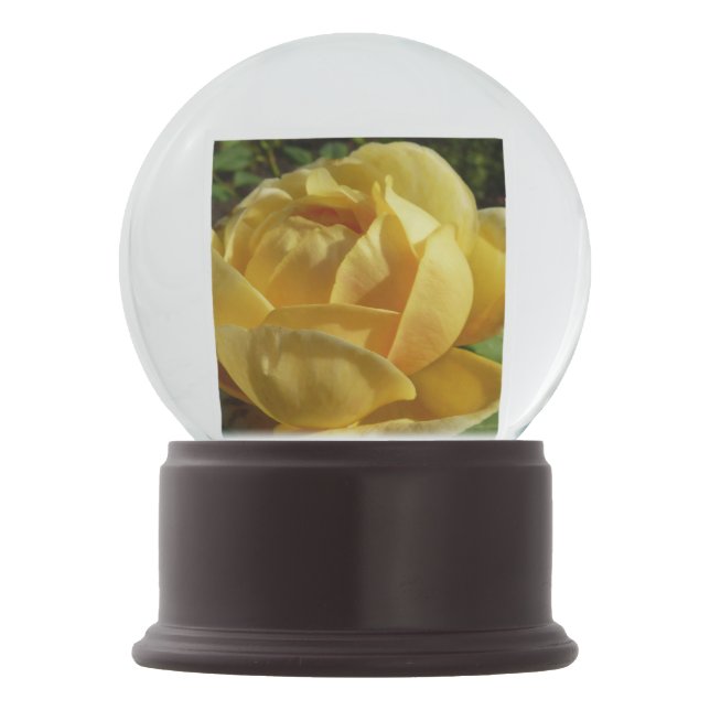 Yellow English Rose Snow Globe (Front)