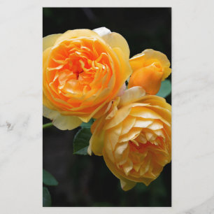 Yellow English Roses Stationery