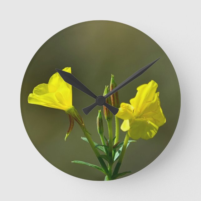 Yellow evening primrose wildflower round clock (Front)