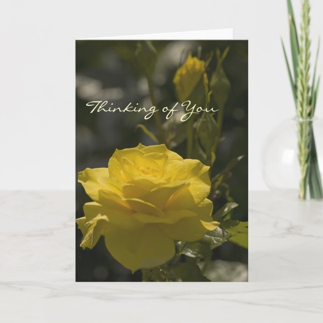 Yellow Evening Rose, Thinking of You Card (Front)