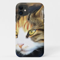 Yellow Eyed Calico Cat Realistic Pet Portrait