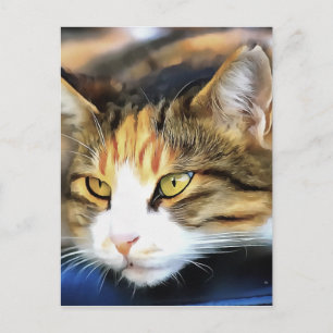 Yellow Eyed Calico Cat Realistic Pet Portrait Postcard