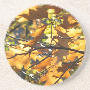 Yellow Fall Coaster