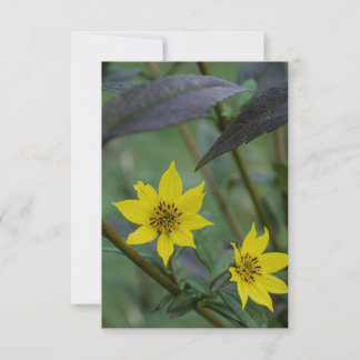 Yellow Fall Flower Card