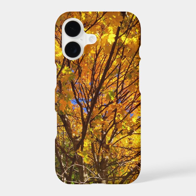 Yellow Fall Foliage (Back)