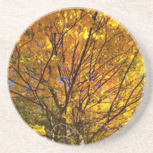 Yellow Fall Foliage Coaster