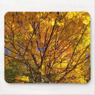 Yellow Fall Foliage Mouse Pad