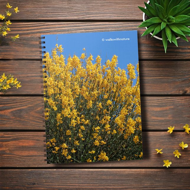 Yellow False Indigo / Wild Indigo / Horseflyweed Notebook (Yellow False Indigo Journal Cover Photo)