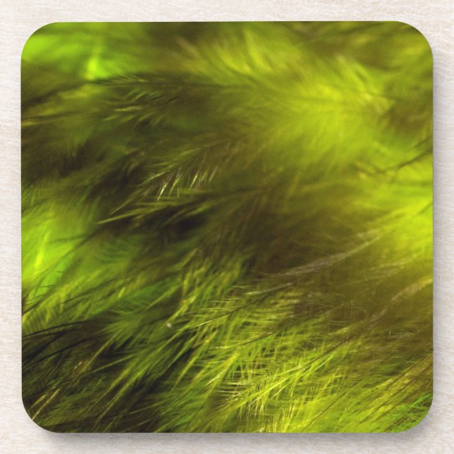 Yellow Feathers Coaster (Front)