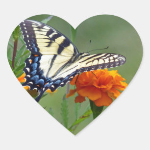 Yellow female Eastern Tiger Swallowtail Heart Sticker