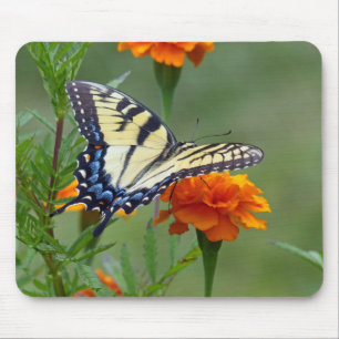 Yellow female Eastern Tiger Swallowtail Mouse Pad